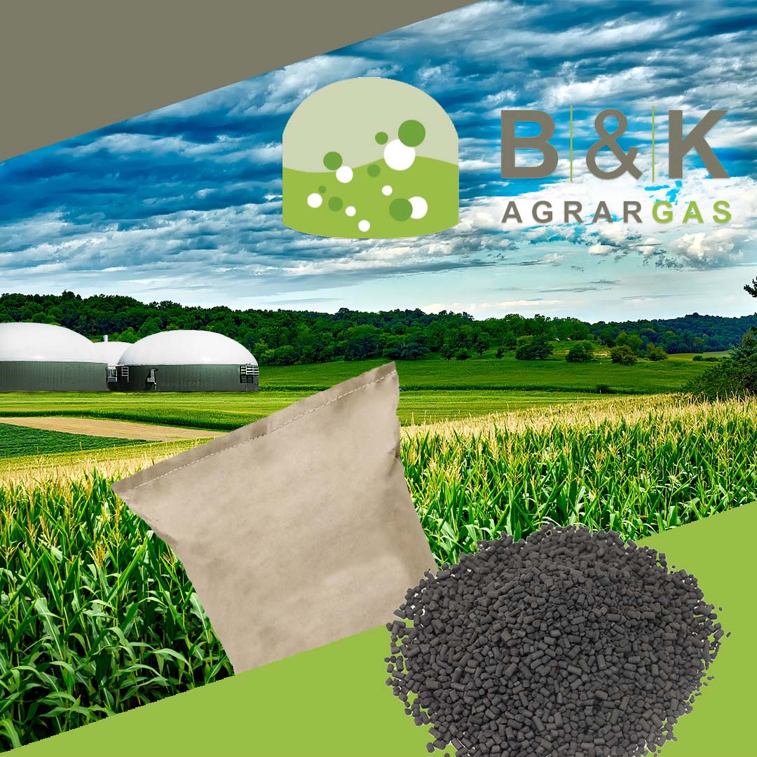 Bild von Aktivkohle für Biogasanlagen