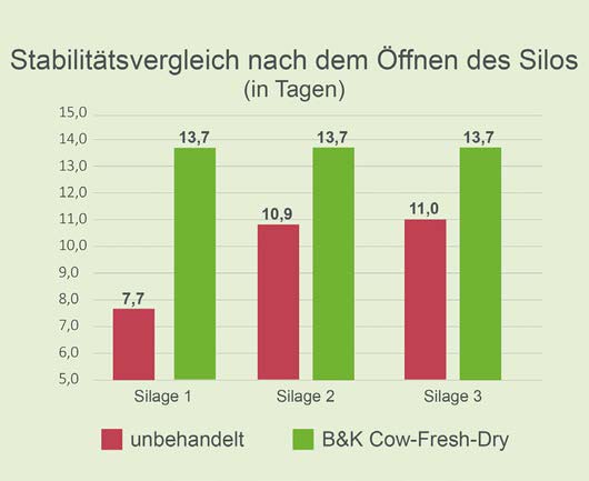 Grafik Stabilitätsvergleich nach öffnen des Silos mit unbehandelter Silage und Cow-Fresh Dry Silage